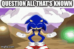 a cartoon of sonic the hedgehog with the words question all that 's known above him