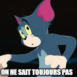 a picture of tom from tom and jerry with the words on ne sait toujours pas below him