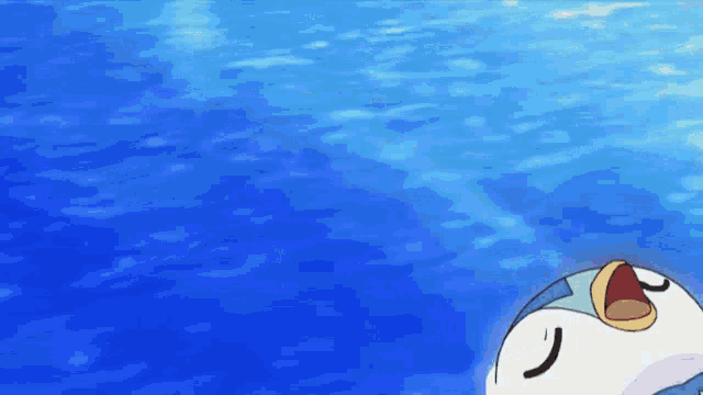 a penguin is floating on top of a blue water surface .