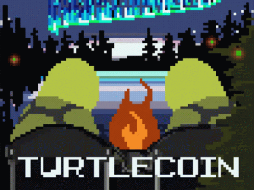 Turtlecoin Beguided GIF - Turtlecoin Beguided Pixelart GIFs