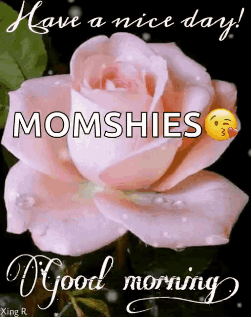 a pink rose with the words have a nice day momshies and good morning