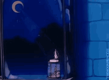 a cartoon drawing of a lantern with the words " the moon princess " on the bottom right