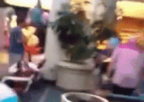 a blurry picture of a table with a potted plant