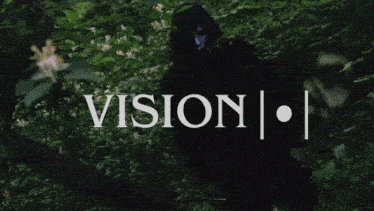 a person in a black hoodie is standing in the woods and the word vision is on the bottom