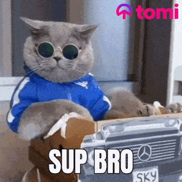 Tomi Tominet GIF - Tomi Tominet Meme GIFs
