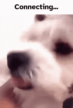 a close up of a dog 's nose with the words connecting below it