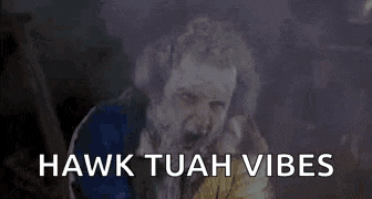 a man with a beard is smoking a cigarette and the words `` hawk tuah vibes '' are above him .