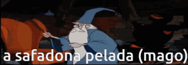 a cartoon of a wizard with the words " a safadona pelada ( mago ) " above him