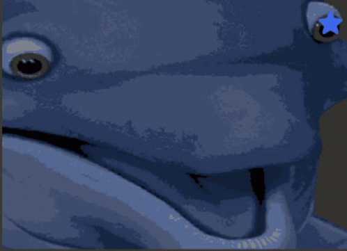 Cosmo Dolph Dolphin GIF - Cosmo Dolph Dolphin GIFs