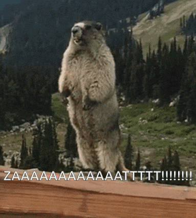 a ground squirrel standing on its hind legs in front of a forest with a caption that says zaaaaaaa