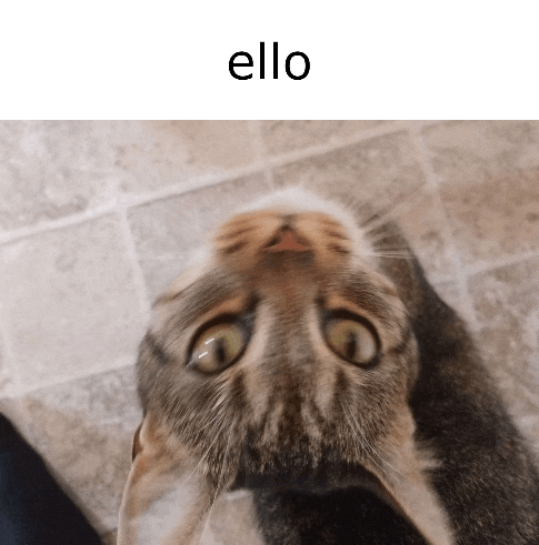 a close up of a cat 's face with the word " ello " above it