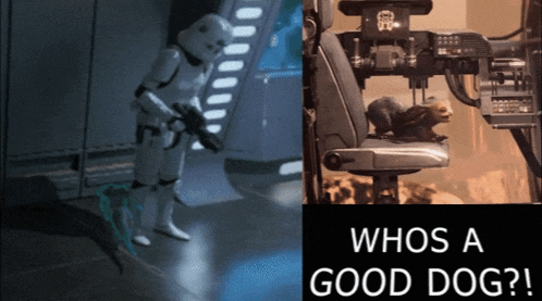 a picture of a storm trooper next to a picture of a squirrel in a chair and the caption whos a good dog