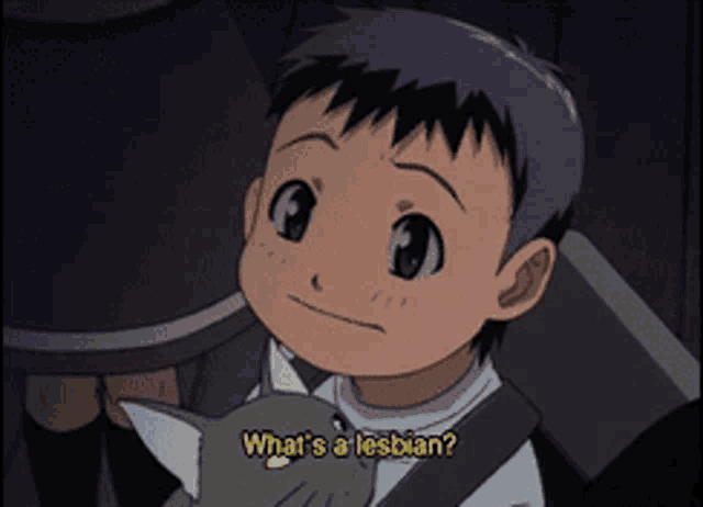 a little boy holding a cat with the words what 's a lesbian below him