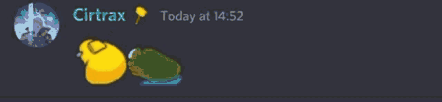 a screenshot of a discord chat with the name citrax on it