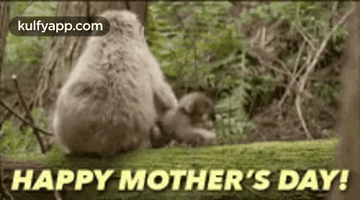 Mothers Day.Gif GIF - Mothers Day Wishes Kulfy GIFs