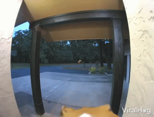 Its Me Viralhog GIF - Its Me Viralhog Doorbell GIFs