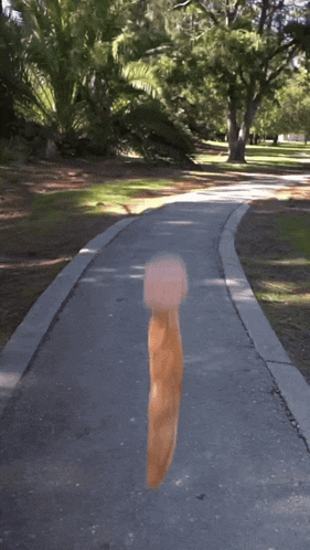 a blurred image of a person walking down a path with trees in the background