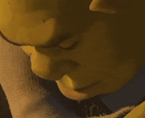 a close up of shrek 's face from shrek