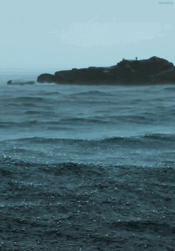 a person standing on a rock in the middle of the ocean with the words skyreaking below them