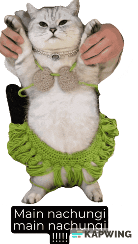 a cat wearing a green skirt and a necklace is being held by a person