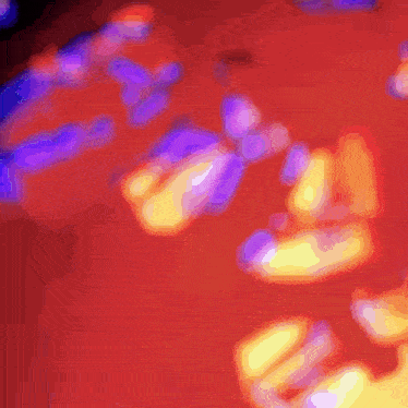 a red background with a purple and yellow glow