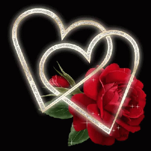 Rose Heart GIF - Rose Heart Flowers GIFs