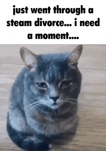 a picture of a cat with the caption just went through a steam divorce ... i need a moment