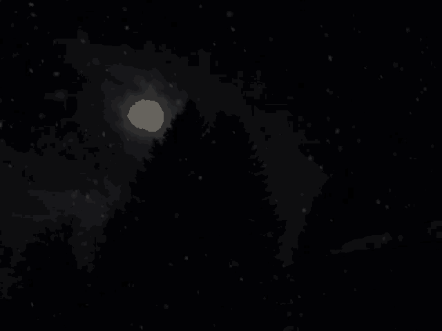 a full moon is visible in the night sky