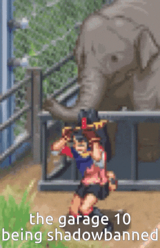 a pixel art of a person standing in front of an elephant with the words the garage 10 being shadowbanned