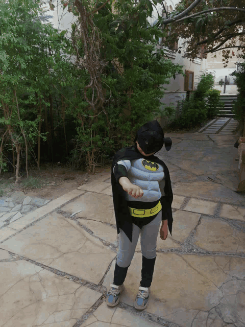 a child dressed in a batman costume is standing on a stone walkway
