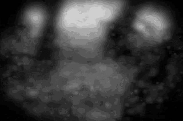 a black and white photo of a person 's face with a blurred background