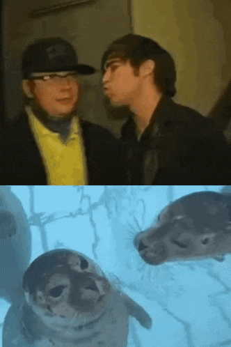 two men are standing next to each other and a seal is looking at the camera
