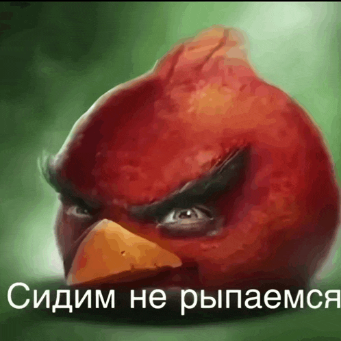a painting of an angry bird with a caption in a foreign language