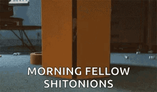 a box with the words morning fellow shitonions on it