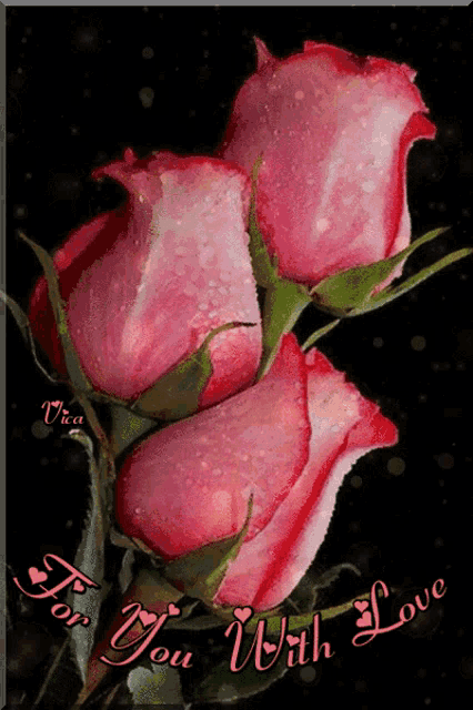 two pink roses on a black background with the words " for you with love " below them