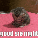 a kitten is sitting on a pink blanket with the words good sie night written on it .