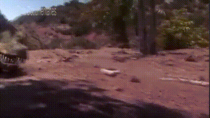 a car is driving down a dirt road next to a forest .