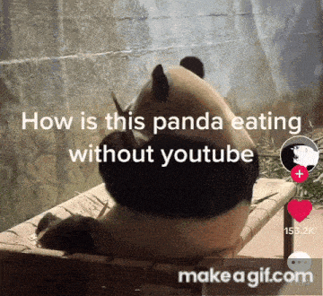 a panda bear sitting on a bench with the words how is this panda eating without youtube below it