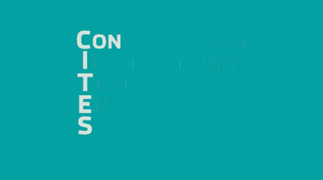 a blue background with the words convention on international trade in endangered species of wild fauna and flora on it