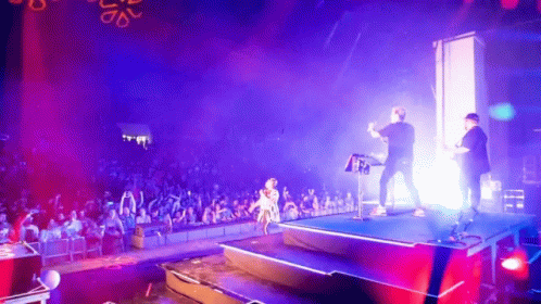 On Stage Pointing Into The Crowd GIF - On Stage Pointing Into The Crowd Concert GIFs