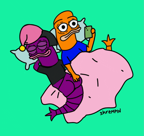 a cartoon of a shrimp and a fish with the name shrempin on the bottom right