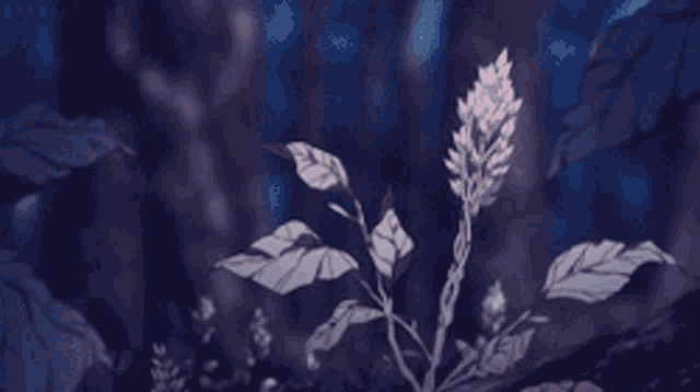 a drawing of a plant with leaves and a flower in a dark forest .