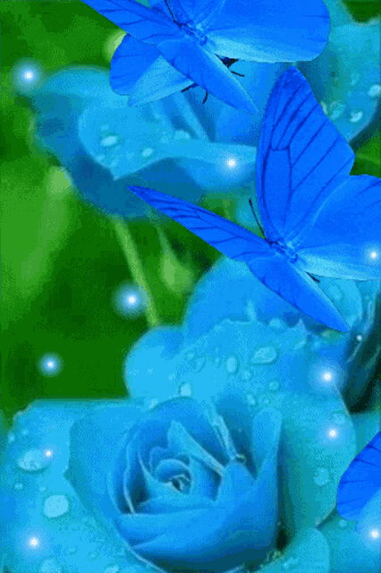 Flowers For GIF - Flowers For Her GIFs