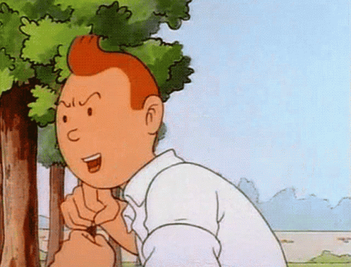 Tintin Punch GIF