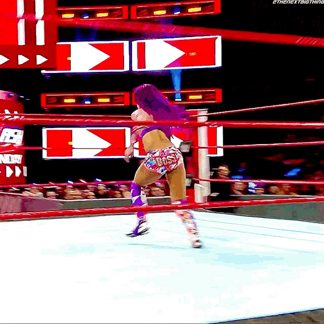 a female wrestler in a ring with a sign that says ' ethenextthing ' on it