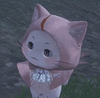 a white cat wearing a pink hooded cape