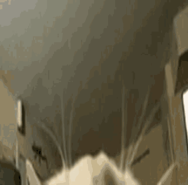 a close up of a cat 's face in a room with a window .