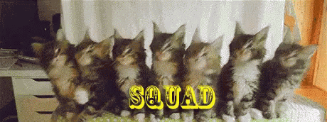 Kitty Squad GIF - Squad GIFs