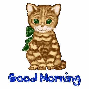 a picture of a cat with the words good morning written below it