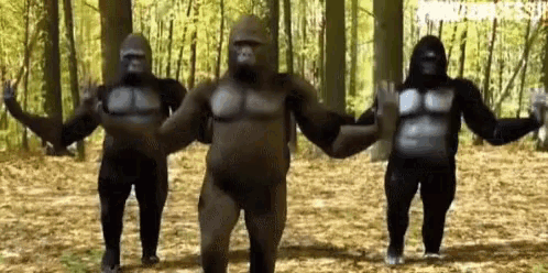 Dance Gorilla GIF